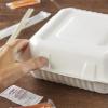 imageHefty ECOSAVE 1 Compartment Hinged Lid Containers 9 x 9 Inch 50 Count Pack of 2 100 Total3 Compartment 9x9  100 Total