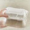 imageHefty ECOSAVE 1 Compartment Hinged Lid Containers 9 x 9 Inch 50 Count Pack of 2 100 TotalHoagie 9 x 6  150 Total
