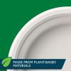imageHefty ECOSAVE Compostable Paper Plates 834 Inch 60 CountWhite