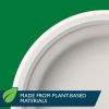 imageHefty ECOSAVE Compostable Paper Plates 834 Inch 60 CountWhite