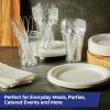 imageHefty Clear Plastic Fork 300ctCombo Pack